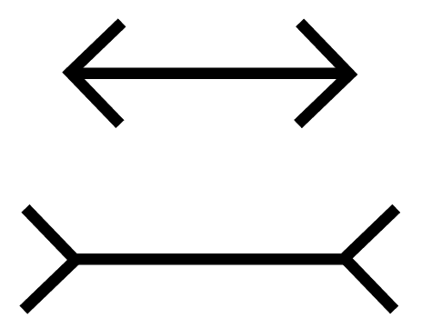 Muller Lyer Illusion