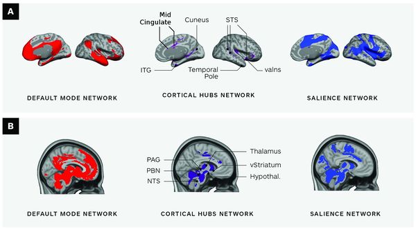Other names for the interoceptive network - How Emotions Are Made