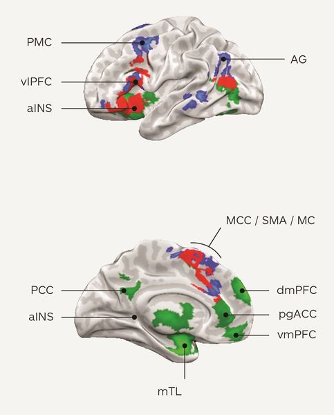 File:Emotion regulation brain.jpg